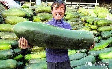 一般在哪吃瓜,揭秘“吃瓜”文化盛行之地