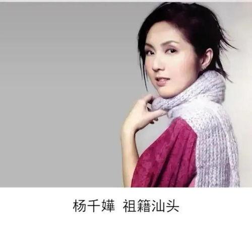 明星要来潮汕了,明星璀璨之夜，共赴潮汕风情盛宴”