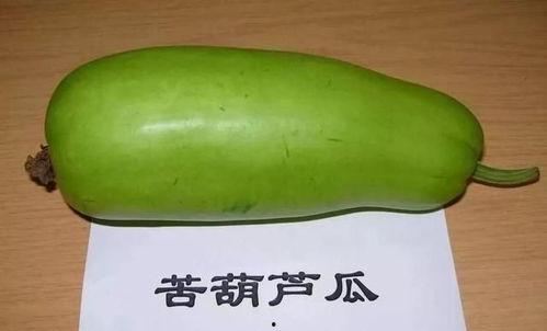 哪些葫芦瓜不宜吃,安全饮食指南