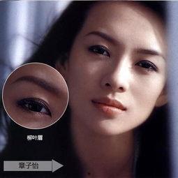 明星化眉,打造时尚个性眉型指南