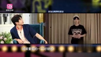 老友爆料全集视频,揭秘娱乐圈不为人知的秘密与真相