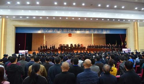 南宁苏卢村大叔上头条,揭秘乡村生活新风尚
