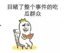 吵架吃瓜事件图片大全,吵架吃瓜图片大全，揭秘网络暴力背后的真相