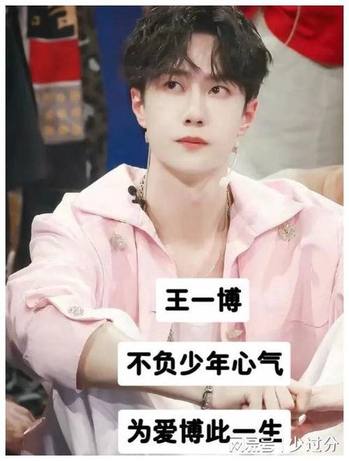 明星应援口号大全,明星应援口号大全解析