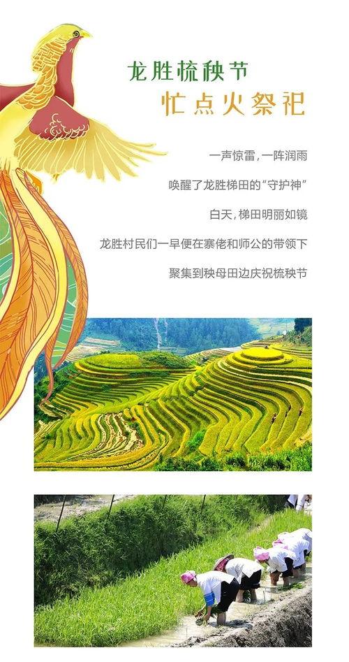 芒种乌兰察布头条,乌兰察布头条聚焦农事繁忙与民俗风情