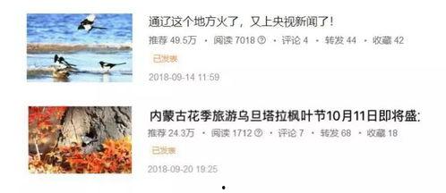 遇见古城 今日头条,邂逅遇见古城魅力