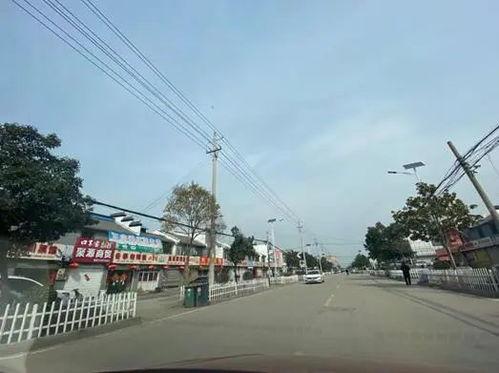 樟洋县和集镇新闻头条,聚焦发展新动态，共话区域繁荣未来